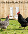 Slick 4 Pieces Hanging Auto Gravity Dispenser For Your Backyard Gang With Large Grit And Oyster Shell Compartments No Sweat Refills Coop Essentials Downright Convenient Poultry Gear with two chickens in front of dispensers.