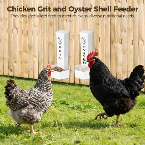 Slick 4 Pieces Hanging Auto Gravity Dispenser For Your Backyard Gang With Large Grit And Oyster Shell Compartments No Sweat Refills Coop Essentials Downright Convenient Poultry Gear with two chickens in front of dispensers.