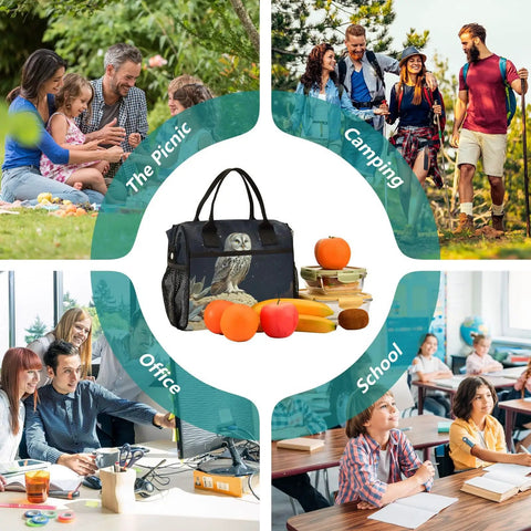 Owl Desert Landscape Insulated Lunch Bag For Women Large Leakproof Portable Cooler Tote shown with picnic, camping, office, school scenes