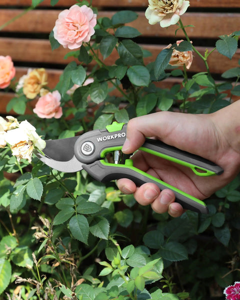 Hand holding 8 Inch Pruning Shears from 3 Piece Garden Shears Set For Pruning And Hedge Trimming, trimming rose bush outdoors
