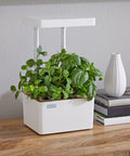 Hydroponic Grow Kit With Self Watering System And Adjustable LED Grow Lights On Telescoping Poles For Indoor Garden on a shelf.