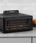 No Sweat Premium Electric Food Dehydrator With Clear Viewing Door And Five Stackable Trays features digital timer and trays of dried fruit.