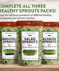 Broccoli Sprout Seeds 8 Oz Bulk Heirloom Non GMO High Germination Sulforaphane Rich For Quick Five Day Harvest Package