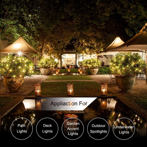 Outdoor scene with path lights and spotlights using Low Voltage Landscape Wire 16/2, 100 Feet, 16 Gauge 2 Conductor Cable For Outdoor Direct Burial.