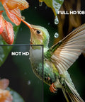 Hummingbird drinking from flower, illustrating full HD 1080p quality for Plug-And-Play Long Range Wireless HDMI Transmitter And Receiver Kit.