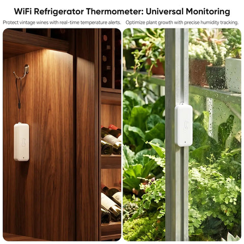 WiFi Freezer Thermometer With App Alerts And Two Wireless Fridge Sensors For Real Time Temperature Monitoring, Waterproof IP65 Probes, Instant Phone Notifications If Temperatures Go Out Of Range. White sensor on wine cabinet and greenhouse window