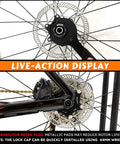 Center Lock Disc Brake Rotor 140mm 160mm 180mm 203mm Stainless Steel Beefed Up For Mountain Bike Road Bike E Bike BMX