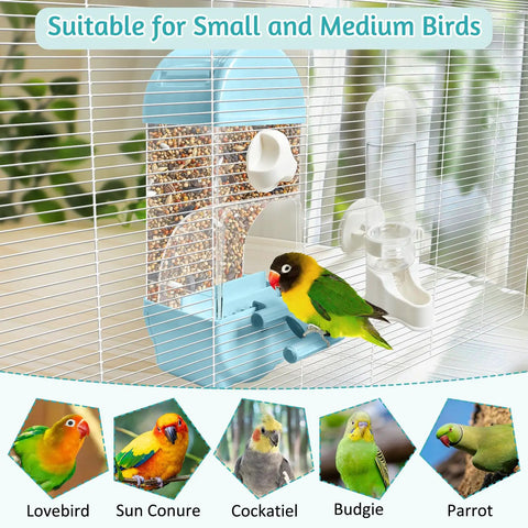 No Sweat Automatic Bird Feeder And Water Dispenser For Cages Spill Proof Transparent Container with lovebird in cage.
