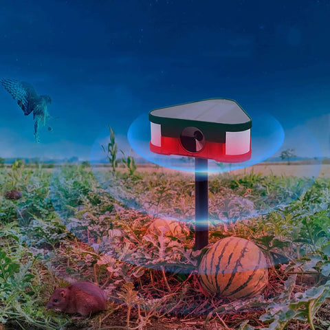 3x129 DB Crazy Loud Sound And Light Alarm with 360 Degree Ultrasonic Motion Sensor installed in a field, daytime view