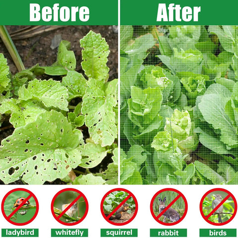 "Ultra Fine Garden Netting 10x33ft Mosquito Bird Barrier For Fruits Veggies And Flowers showing before and after protection from pests."