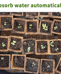 Top view of Eco Friendly 200 Cell Seed Starter Tray Kit With Biodegradable Peat Pots showing seedlings in moist pots.