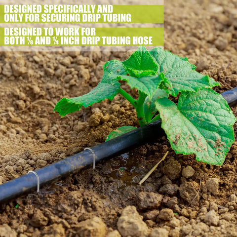 100 Count Half Inch Irrigation Drip Tubing Stakes 5 Inch J Shaped Landscape Staples securing garden drip line on soil