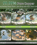 Birds using Pure Copper Bird Bath Disk With Triple Point Support Keeps Water Clean Longer For All Season Outdoor Bird Bowl