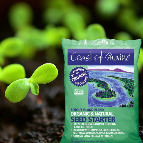 Bag of Organic Seed Starting Mix with Compost, Manure, Mycorrhizae, Worm Castings, Kelp for Easy Germination, 8 Qt next to seedlings.