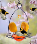Orange Oriole Bird Feeder With Easy Clean Detachable Bowl, Durable Eco Friendly Plastic And Powder Coated Metal, Attract More Orioles In Your Yard With Bright Color And Simple Setup