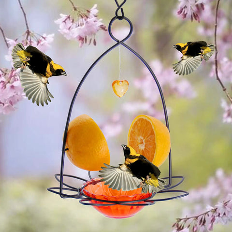 Orange Oriole Bird Feeder With Easy Clean Detachable Bowl, Durable Eco Friendly Plastic And Powder Coated Metal, Attract More Orioles In Your Yard With Bright Color And Simple Setup