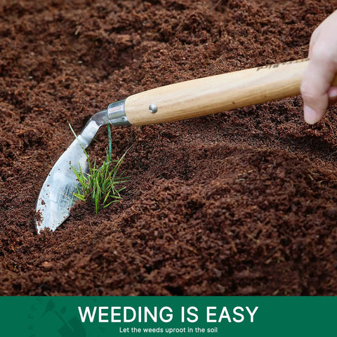 Stainless Steel Bent Angle Gardening Sickle Weed Scraper Hoe With Ergonomic Ash Wood Handle 12.67 Inch Blade For Weeding And Soil Loosening
