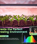 Mini Indoor Greenhouse With 18W T8 Grow Lights and Digital Thermo Hygrometer, seedlings under lights, real-time display shown