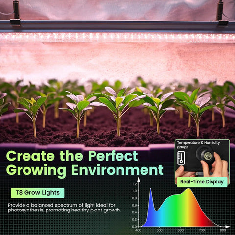 Mini Indoor Greenhouse With 18W T8 Grow Lights and Digital Thermo Hygrometer, seedlings under lights, real-time display shown