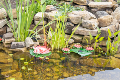 Water garden with lilies and plants using Round Plant And Flower Baskets Variety Pack For Water Gardens Aquaponics And Hydroponics Slotted Mesh Netted Pots For Easy Planting Cups No Fuss Setup Value Six Pack.