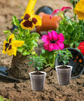 120 Pack 2 Inch Clear Mini Nursery Pots With Drainage Holes For Seed Starting And Seedlings in a colorful garden setting