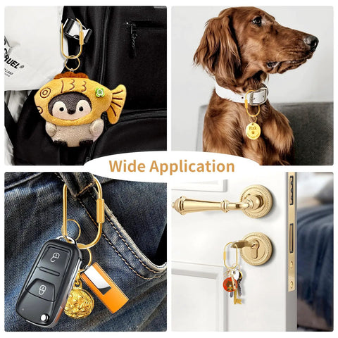 Solid Brass Key Rings Bulk Gold Tone Key Chain Organizer With Secure Screw Locking For Men And Women, shown with keys, charm, and pet tag