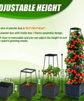 Two Pack Raised Garden Bed Tomato Planter Box With Trellis, 44.8 Inch adjustable height self watering plant cages shown in steps.