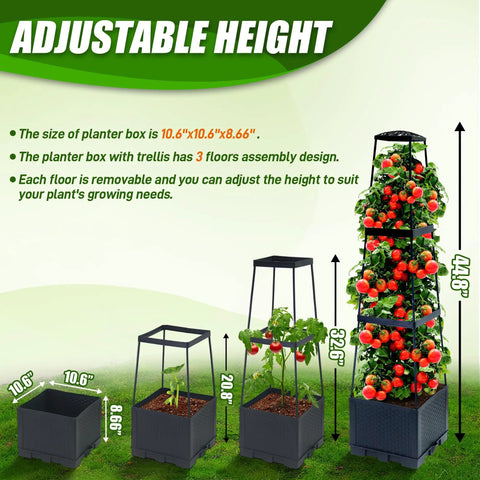 Two Pack Raised Garden Bed Tomato Planter Box With Trellis, 44.8 Inch adjustable height self watering plant cages shown in steps.