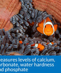 Zero Drama Saltwater Aquarium Water Test Kit Providing 550 Rock Solid Tests For Salinity pH Ammonia And Nitrites To Catch Bad Water Instantly.