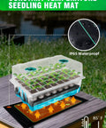 Self Watering Seed Starter Tray With Grow Light And Heat Mat 80 Cell Kit showing seedlings under humidity dome on heat mat.