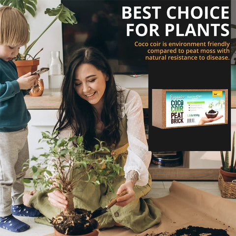 Woman and child potting plant with High Expansion Coco Coir Bricks 5 Pack 650g Each Peat Free Coconut Coir Low EC And pH Balanced Washed And Buffered