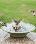 Solar Fountain Bird Bath Bubbler For Outdoor Garden Made Of Metal Water Feature For Patio Decor Sun Powered No Battery Needed Easy Setup Creates Sparkling Water Sprays That Attract Birds showing birds bathing in metal dish.
