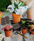 No Fuss 100 Pcs 30mm Peat Pellets Seed Starter Pods Plugs shown with seedlings and plants in terracotta pots on a garden table.
