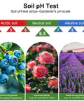 Gardener's pH scale with blueberry, rose, and lavender images showing acidic, neutral, and alkaline soil for 2-In-1 pH and Nitrogen Soil Test Kit With Strips For Lawn, Garden, Grass, Flowers and Vegetables, Quick and Easy Home Soil Testing To Dial In Balanced pH and Nitrogen Levels.