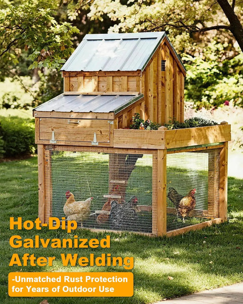 48 Inch By 100 Foot Hardware Cloth Welded Wire Mesh Hot Dip Galvanized Chicken Coop Enclosure with Chickens