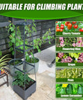 Two Pack Raised Garden Bed Tomato Planter Box With Trellis, 44.8 Inch Self Watering Cage for Climbing Plants Next to Patio