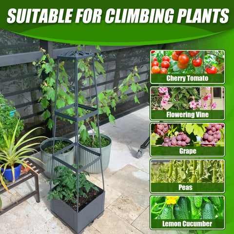 Two Pack Raised Garden Bed Tomato Planter Box With Trellis, 44.8 Inch Self Watering Cage for Climbing Plants Next to Patio