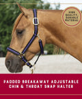 Super Comfy Padded Breakaway Horse Halter With Adjustable Chin And Throat Snap for horse shown outdoors