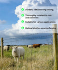 Sheep grazing by barbed wire fence highlighting features of 280 Piece Galvanized Steel Fence Staples Set For Wire Mesh And Woven Fencing.