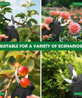 Cordless Electric Pruning Shears For Gardening And Landscaping, Brushless Motor Power shown pruning trees, flowers, and fruit.