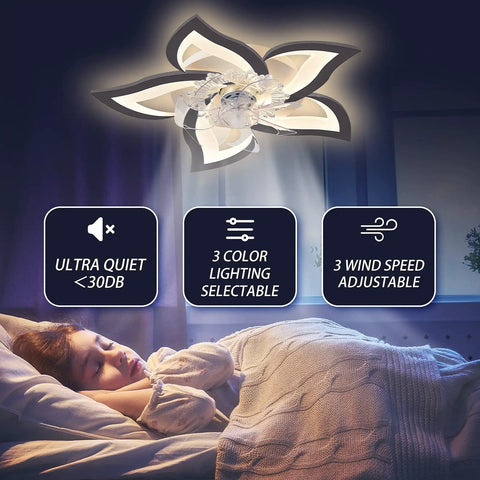 Low Profile Ceiling Fan With LED Light, Ultra Quiet Six-Speed Wind, Three Switchable Modes, Smart Timer, 25.6 Inch Black Finish