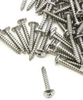 160 Piece Marine Grade Stainless Steel Truss Head Screws Set, 10 x 1-1/4 Inches, no washer needed, scattered view