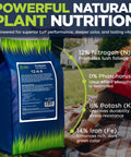 Easy Spread Lawn Fertilizer With Iron For Deep Green Color And Stronger Roots Granular Turf Food For Spring Boost Even Coverage Across Your Yard 25 lb bag
