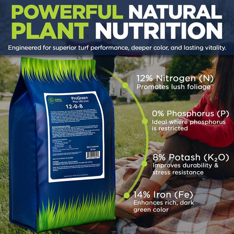Easy Spread Lawn Fertilizer With Iron For Deep Green Color And Stronger Roots Granular Turf Food For Spring Boost Even Coverage Across Your Yard 25 lb bag