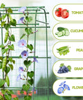 Big Garden Arch Trellis For Climbing Plants with vines, tomatoes, cucumbers, peas, grapes, and flowers growing on nylon netting