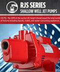 Heavy Duty Cast Iron Shallow Well Jet Pump With 3/4 HP Motor Pulling 16 GPM At 115 Or 230 Volt showing a close-up of the pump body.