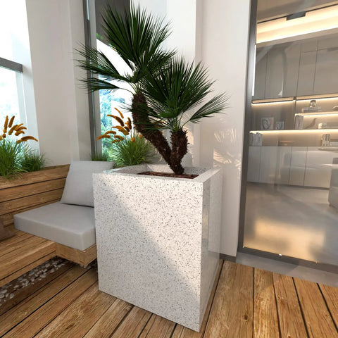 Indoor seating area with palm plant in a white speckled pot beside a modern kitchen entry.