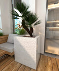Indoor plant in large white terrazzo planter on wooden deck in modern living space