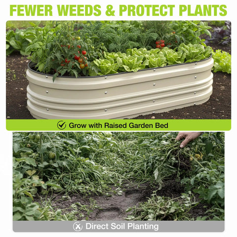Two Pack 4x2x1 Ft Outdoor Galvanized Raised Garden Bed Kit With Rust And Corrosion Protection Easy Assembly Safe Edge Open Bottom Design For Vegetables And Flowers White, shown with plants growing.