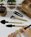 Hands using Beginner Bonsai Tree Starter Kit For Indoor Gardening with tools and plant pot.